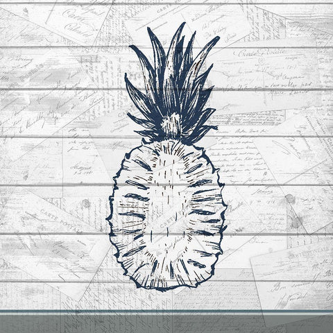 Country Pineapple 2 Black Ornate Wood Framed Art Print with Double Matting by Kimberly, Allen