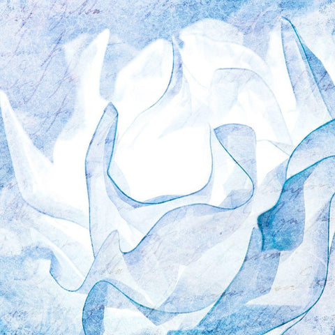 Blue Rose Black Modern Wood Framed Art Print with Double Matting by Kimberly, Allen