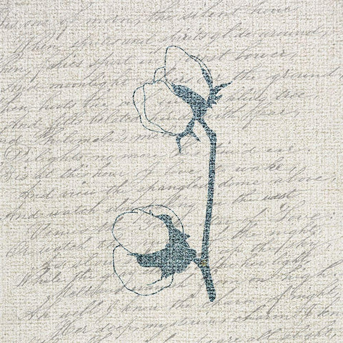 Cotton Blossoms 1 White Modern Wood Framed Art Print with Double Matting by Kimberly, Allen