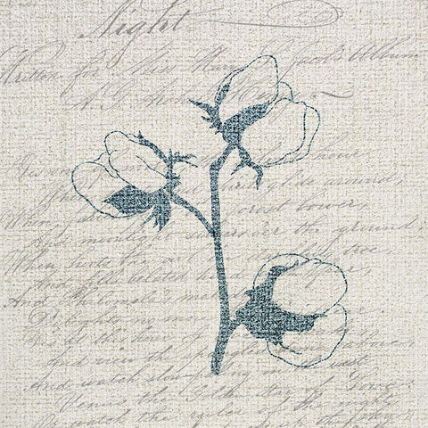 Cotton Blossoms 2 Black Ornate Wood Framed Art Print with Double Matting by Kimberly, Allen