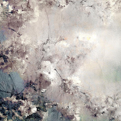 Dreaming of Cherry Blossoms Square Black Ornate Wood Framed Art Print with Double Matting by Kimberly, Allen