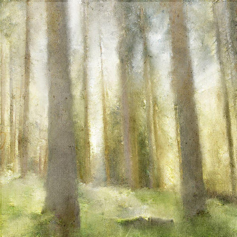 Forest Days White Modern Wood Framed Art Print with Double Matting by Kimberly, Allen