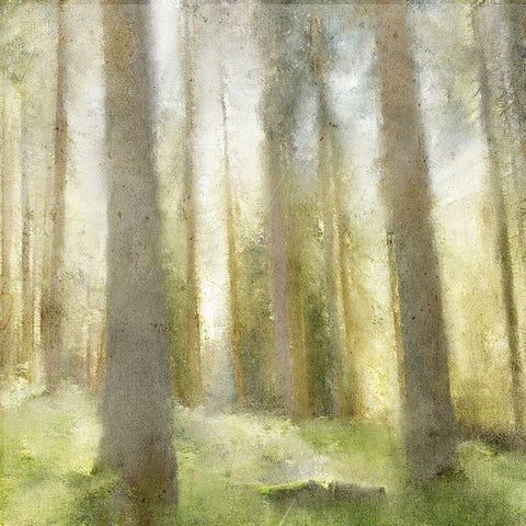 Forest Days Black Modern Wood Framed Art Print with Double Matting by Kimberly, Allen