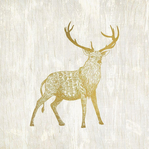 Forest Animals 1 Gold Ornate Wood Framed Art Print with Double Matting by Kimberly, Allen