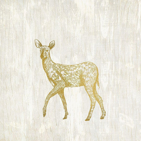 Forest Animals 3 Black Ornate Wood Framed Art Print with Double Matting by Kimberly, Allen