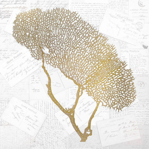 Gold Coral 2 White Modern Wood Framed Art Print with Double Matting by Kimberly, Allen