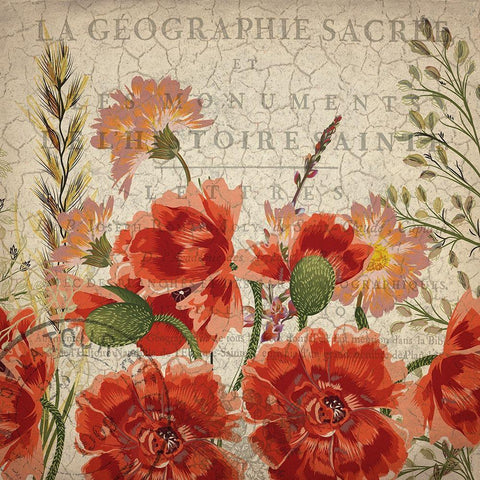 Springtime Blooms Gold Ornate Wood Framed Art Print with Double Matting by Kimberly, Allen