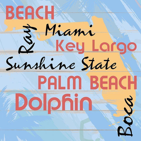 Florida Black Modern Wood Framed Art Print with Double Matting by Kimberly, Allen