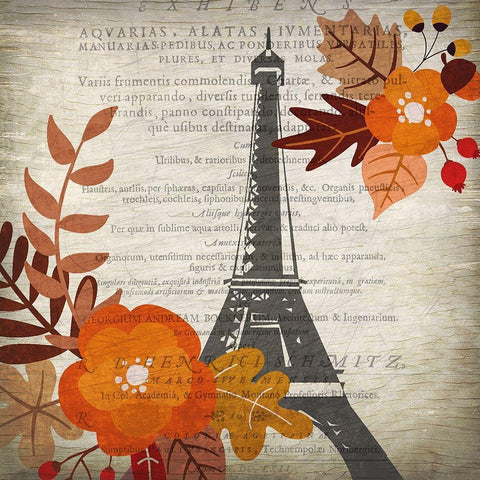 Paris in the Fall 1 Black Modern Wood Framed Art Print with Double Matting by Kimberly, Allen