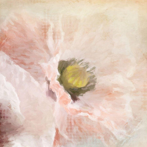 Poppy  Black Ornate Wood Framed Art Print with Double Matting by Kimberly, Allen