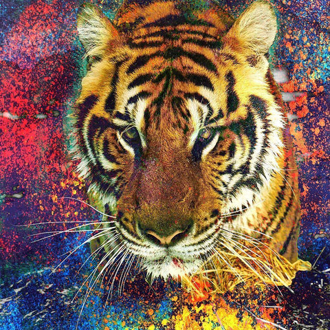 Staring Black Ornate Wood Framed Art Print with Double Matting by Kimberly, Allen