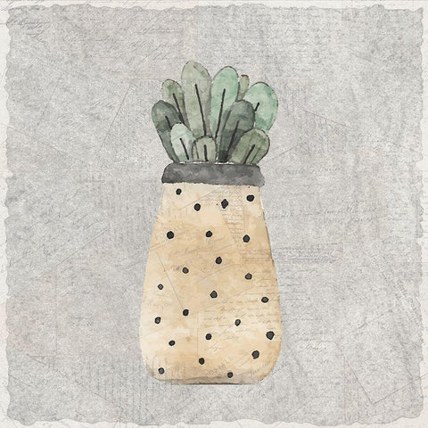 Potted Succulents 1 White Modern Wood Framed Art Print by Kimberly, Allen