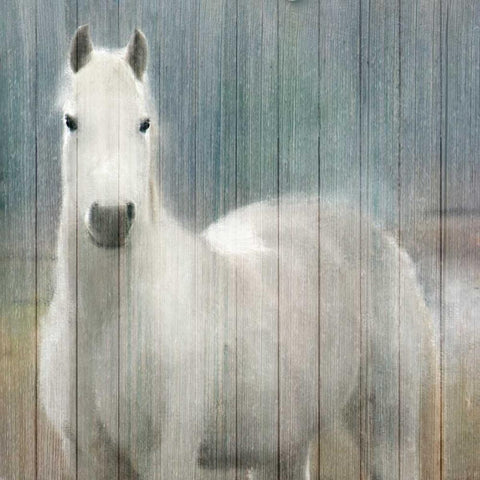 Serenity White White Modern Wood Framed Art Print with Double Matting by Allen, Kimberly