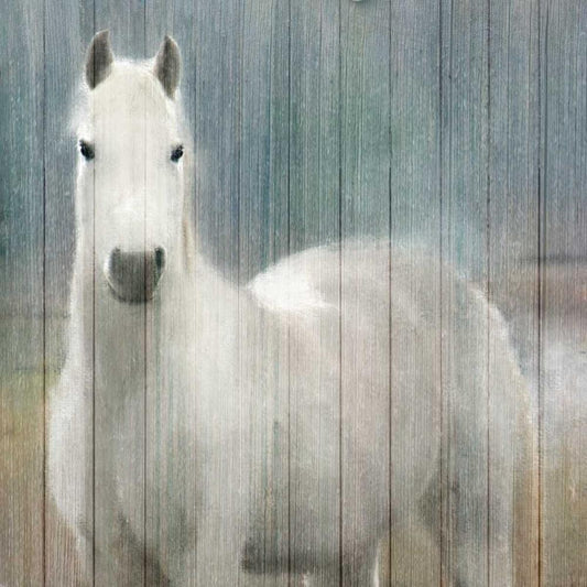 Image Only