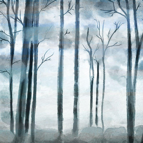 Shrouded Forest Black Ornate Wood Framed Art Print with Double Matting by Allen, Kimberly