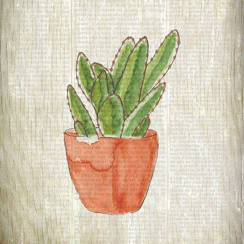 Spring Cactus 1 Black Modern Wood Framed Art Print with Double Matting by Kimberly, Allen