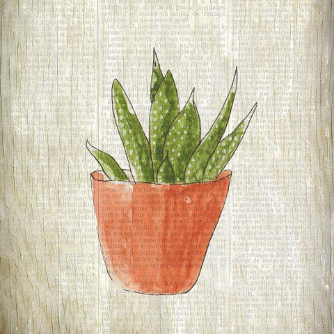 Spring Cactus 3 White Modern Wood Framed Art Print with Double Matting by Kimberly, Allen