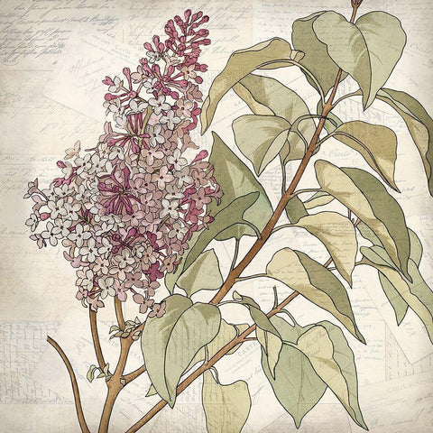 Shades of Purple 1 White Modern Wood Framed Art Print by Kimberly, Allen