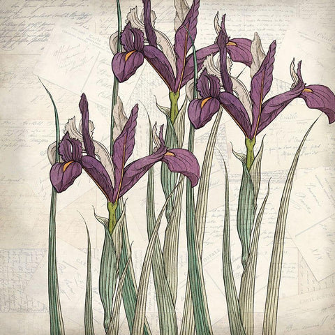 Shades of Purple 3 Black Ornate Wood Framed Art Print with Double Matting by Kimberly, Allen