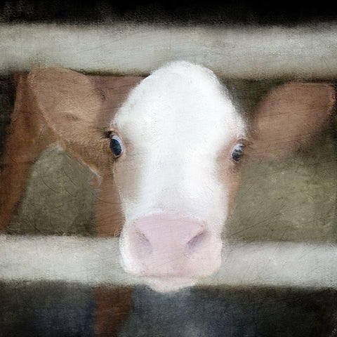 Out of the Fence White Modern Wood Framed Art Print by Allen, Kimberly