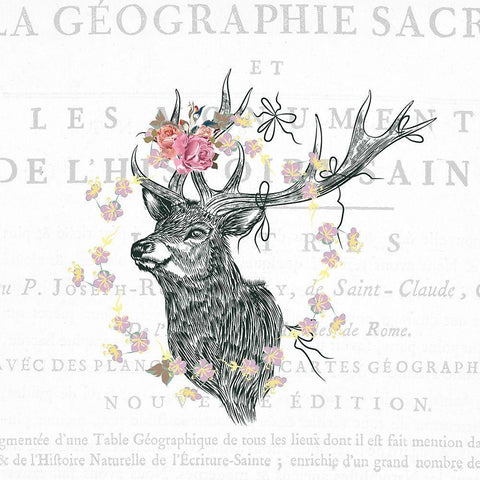 Free Spirit 2 White Modern Wood Framed Art Print with Double Matting by Kimberly, Allen