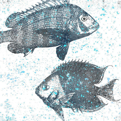 Splatter Fish White Modern Wood Framed Art Print with Double Matting by Allen, Kimberly