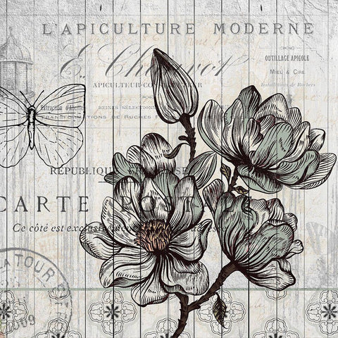 Country Magnolia 1 Black Ornate Wood Framed Art Print with Double Matting by Kimberly, Allen