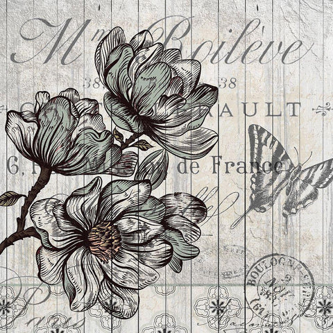 Country Magnolia 2 White Modern Wood Framed Art Print with Double Matting by Kimberly, Allen