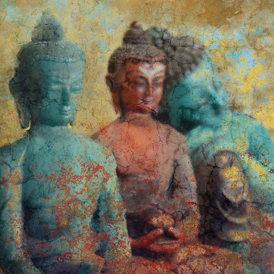 Image Only