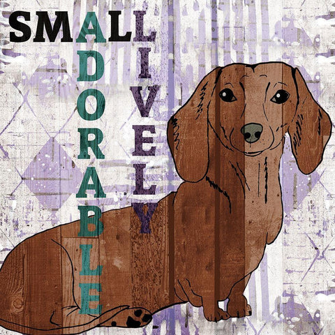 Companion 2 White Modern Wood Framed Art Print with Double Matting by Kimberly, Allen