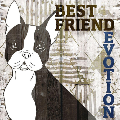 Companion 4 White Modern Wood Framed Art Print with Double Matting by Kimberly, Allen