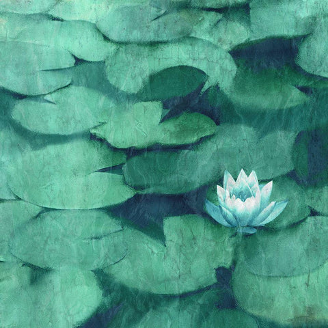 Lotus Blossom White Modern Wood Framed Art Print with Double Matting by Kimberly, Allen