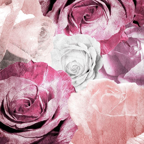 Rose Blooms 1 Gold Ornate Wood Framed Art Print with Double Matting by Kimberly, Allen