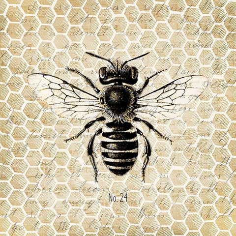 Honeycomb No 24 Black Modern Wood Framed Art Print by Kimberly, Allen