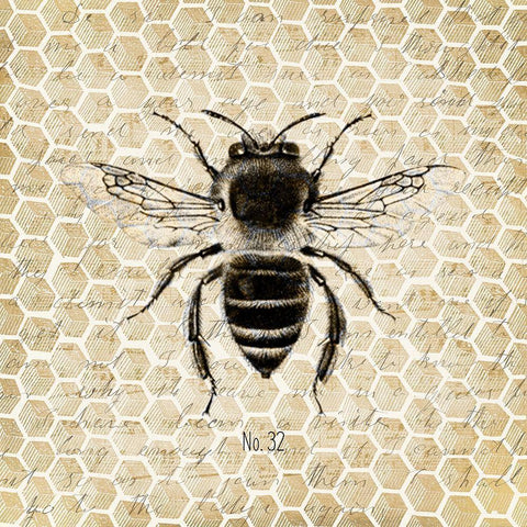 Honeycomb No 32 White Modern Wood Framed Art Print with Double Matting by Kimberly, Allen