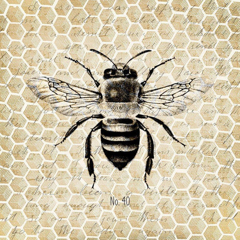 Honeycomb No 40 Black Ornate Wood Framed Art Print with Double Matting by Kimberly, Allen