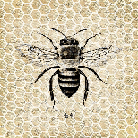 Honeycomb No 40 Black Modern Wood Framed Art Print with Double Matting by Kimberly, Allen