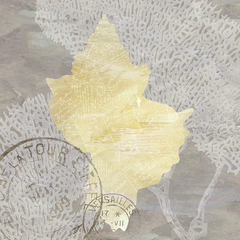 Neutral Shell 1 Gold Ornate Wood Framed Art Print with Double Matting by Kimberly, Allen