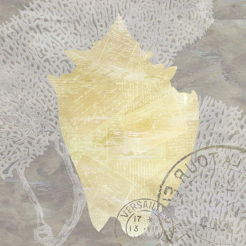 Neutral Shell 2 White Modern Wood Framed Art Print by Kimberly, Allen