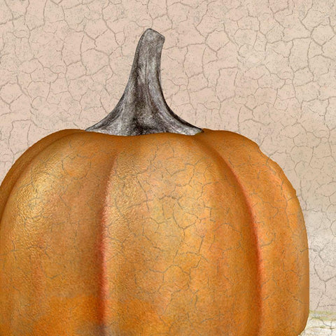 Copper Pumpkin White Modern Wood Framed Art Print with Double Matting by Kimberly, Allen