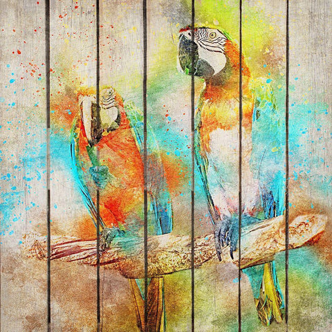 Two of a Kind Black Modern Wood Framed Art Print with Double Matting by Kimberly, Allen