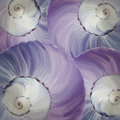 Violet Shell 3 Black Modern Wood Framed Art Print with Double Matting by Kimberly, Allen