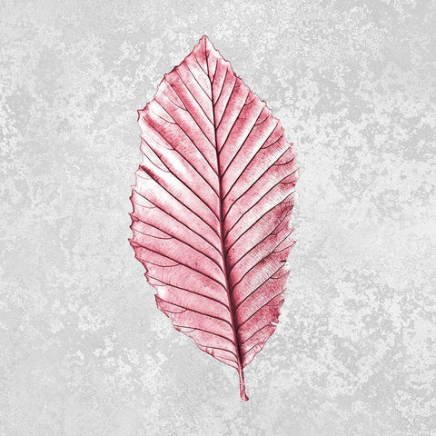 Pink Leaf 1 White Modern Wood Framed Art Print by Kimberly, Allen