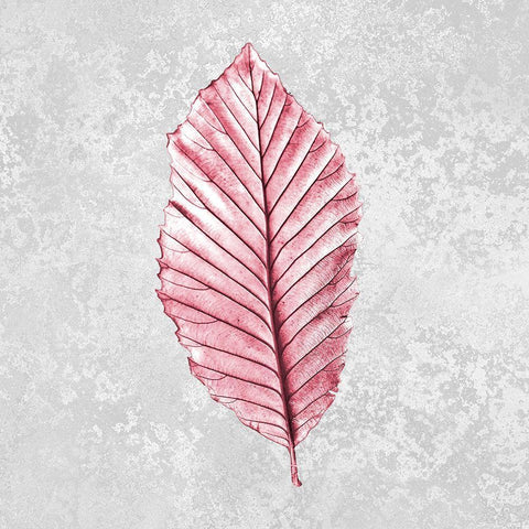 Pink Leaf 1 White Modern Wood Framed Art Print with Double Matting by Kimberly, Allen