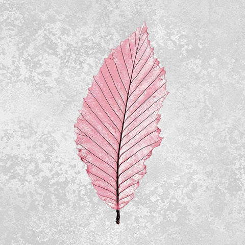 Pink Leaf 3 White Modern Wood Framed Art Print with Double Matting by Kimberly, Allen