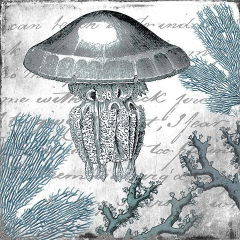 Under the Sea 3 White Modern Wood Framed Art Print with Double Matting by Kimberly, Allen