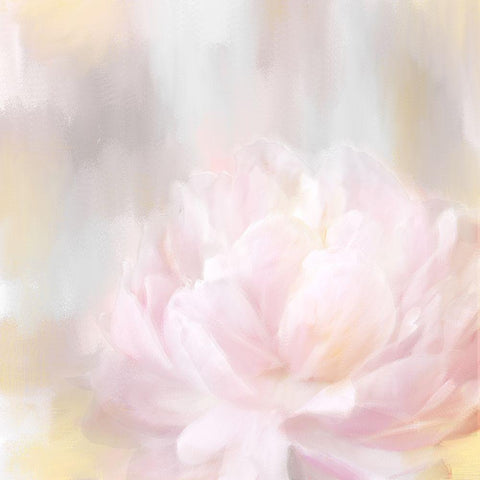 Hidden Bloom White Modern Wood Framed Art Print with Double Matting by Kimberly, Allen