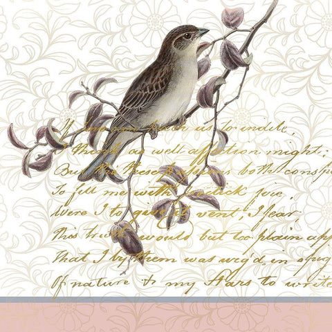 Serenity Birds 1 Black Ornate Wood Framed Art Print with Double Matting by Kimberly, Allen