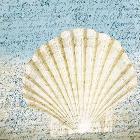 Spotted Shell 2 Black Ornate Wood Framed Art Print with Double Matting by Kimberly, Allen