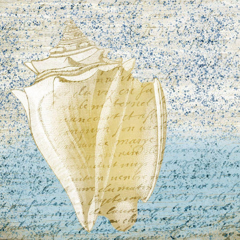 Spotted Shell 3 White Modern Wood Framed Art Print by Kimberly, Allen